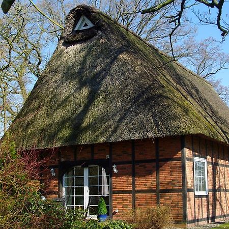 Gaestehaus Eulennest Grossenworden 外观 照片
